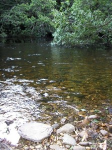 The beauty of the Clyde River