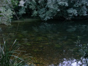 Twilight on the Clyde River