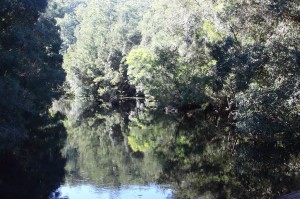 Natural beauty of the Clyde River