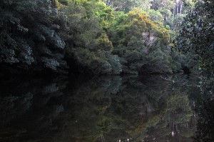 Unspoiled beauty of the Clyde River